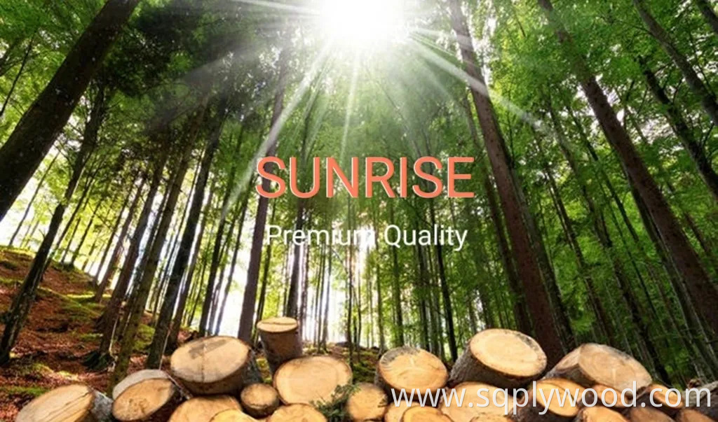 4 8 FT Melamine Face 7 5 Slot MDF Board Store Wall Decoration Slatwall Display MDF